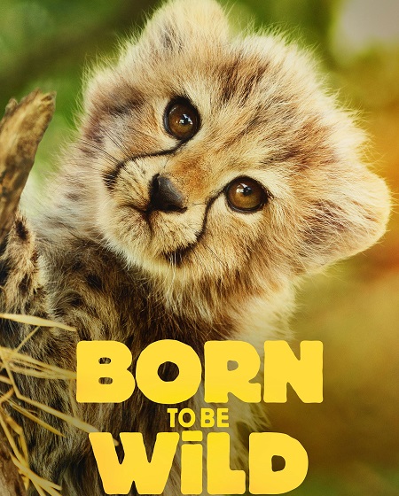 مسلسل Born to be Wild الموسم الاول الحلقة 5 مترجمة