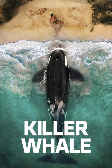 فيلم Killer Whale 2026 مترجم اونلاين