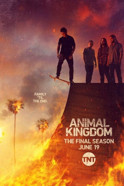 مشاهدة مسلسل Animal Kingdom الموسم السادس الحلقة 7 مترجمة