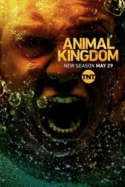 مشاهدة مسلسل Animal Kingdom الموسم الثالث الحلقة 8 مترجمة