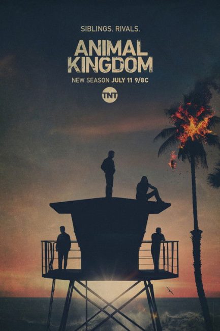 مشاهدة مسلسل Animal Kingdom الموسم الخامس الحلقة 13 والاخيرة مترجمة