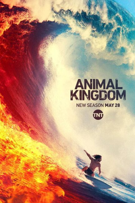 مشاهدة مسلسل Animal Kingdom الموسم الرابع الحلقة 6 مترجمة